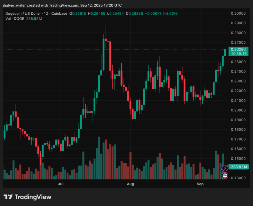 Dogecoin DOGE DOGEUSD