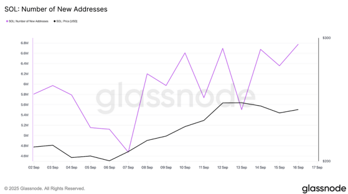 Number of new $SOL addresses.