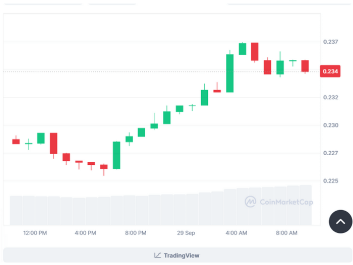 Past 1D performance of Dogecoin ($DOGE)