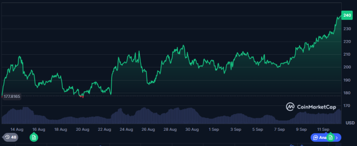 Solana monthly performance