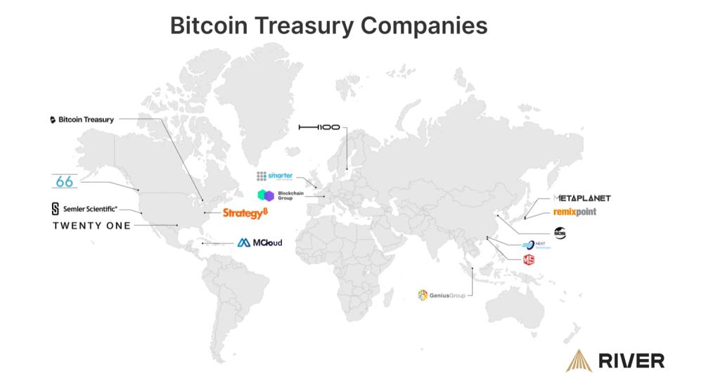 Společnosti držící bitcoin.