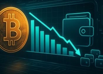 Bitcoin Wholecoiner Inflows Decline To Lowest Levels Since November 2023 – Details