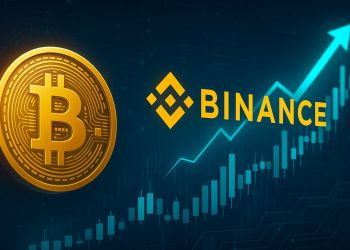 Bitcoin Spot Market Regains Momentum On Binance: A Shift In Investor Behavior