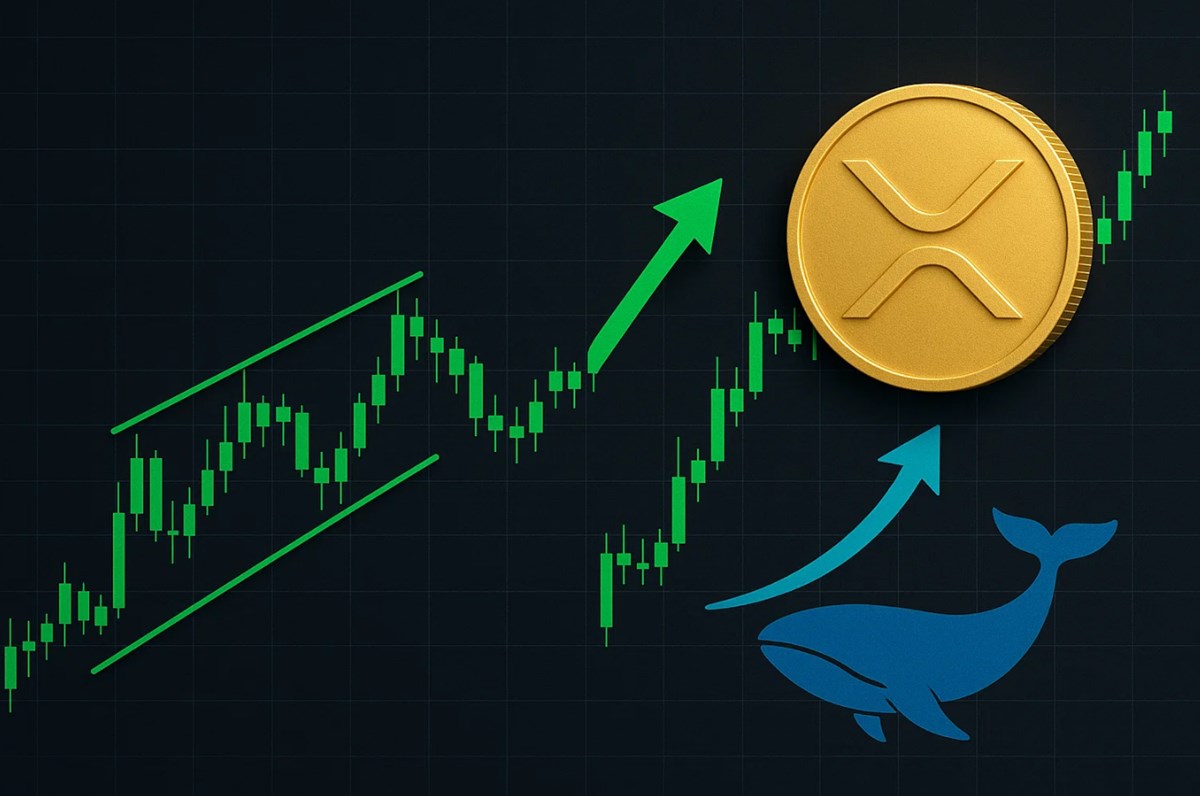 強気パターンとクジラ需要は下落を相殺できるか