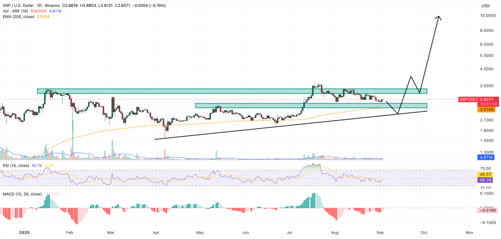 XRP価格予測