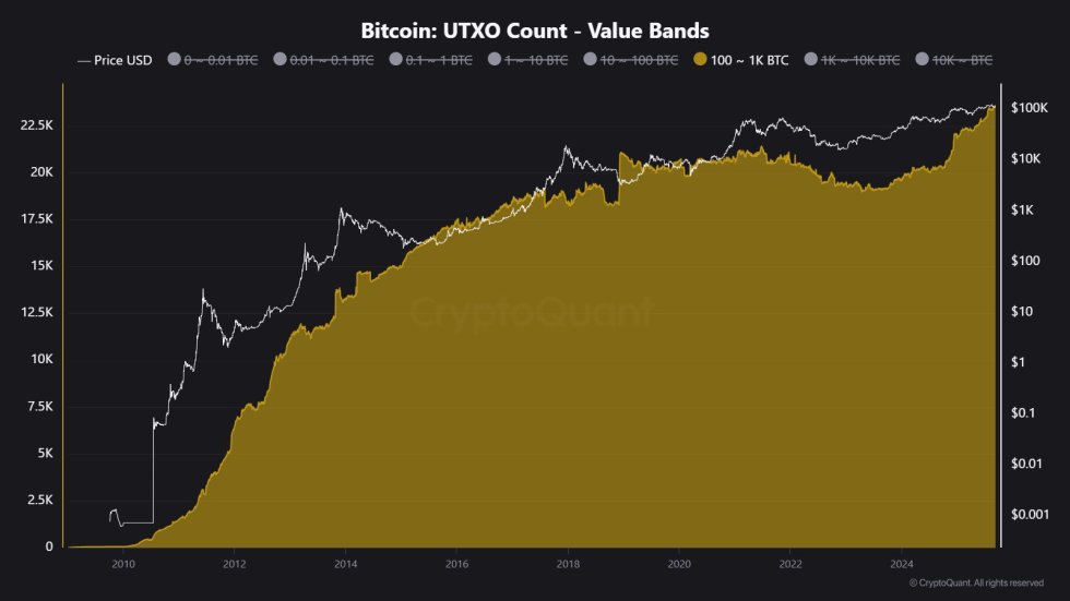 Bitcoin UTXO Count Value Bands 100-1K BTC | Source: Maartunn