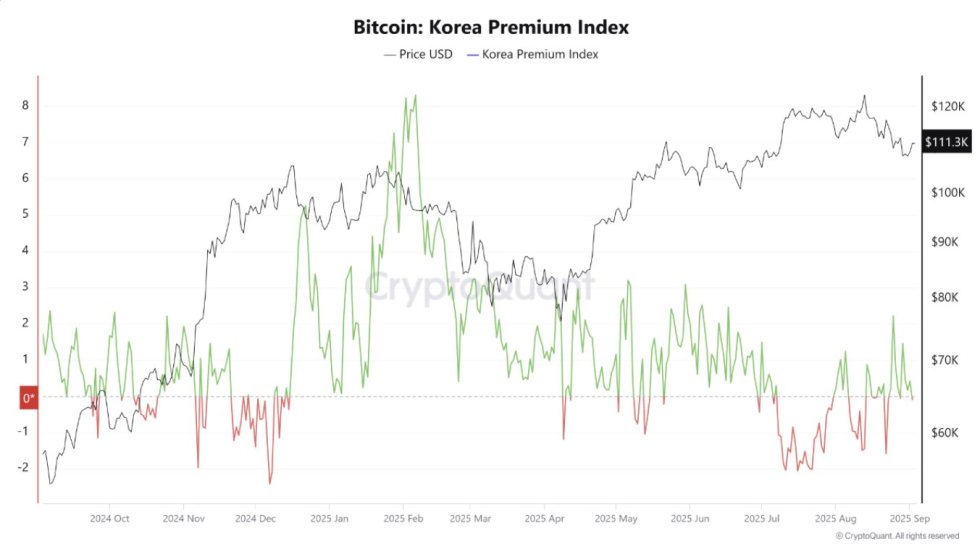 Bitcoin Korea Kimchi Premium Index | Source: CryptoQuant