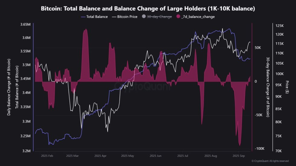 Bitcoin Total Balance and Balance Change of Large Holders | Source: Maartunn