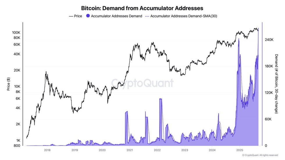 Bitcoin Demand from Accumulator Addresses | Source: Darkfost