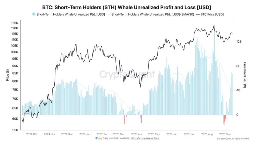 Bitcoin Short-Term Holders Whale Unrealized P/L | Source: Darkfost