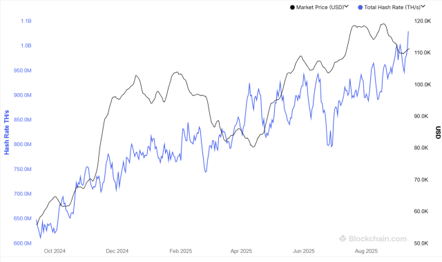 Bitcoin Hashrate
