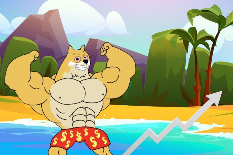 ethereum maxi doge risk