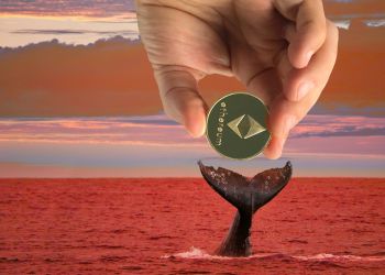 ethereum whale