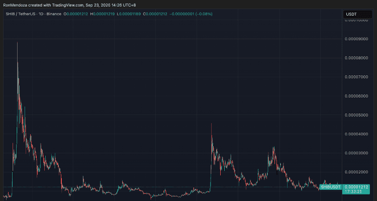 Kaip SNORT padeda investuotojams