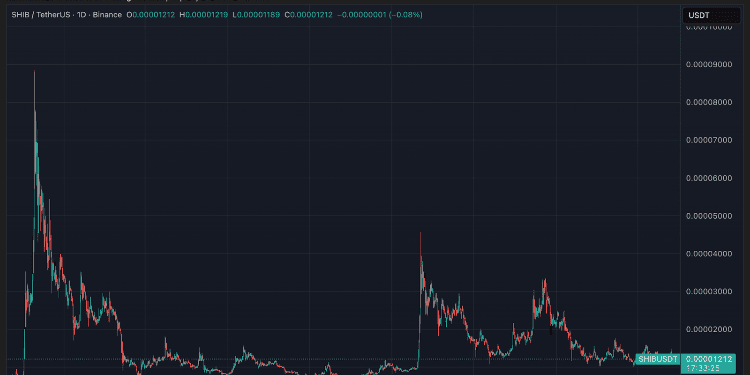 Kaip SNORT padeda investuotojams