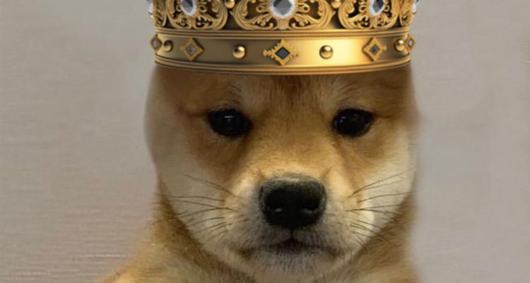 3. Dogwifhat ($WIF) – šuo su kepure, užkariavęs Solana