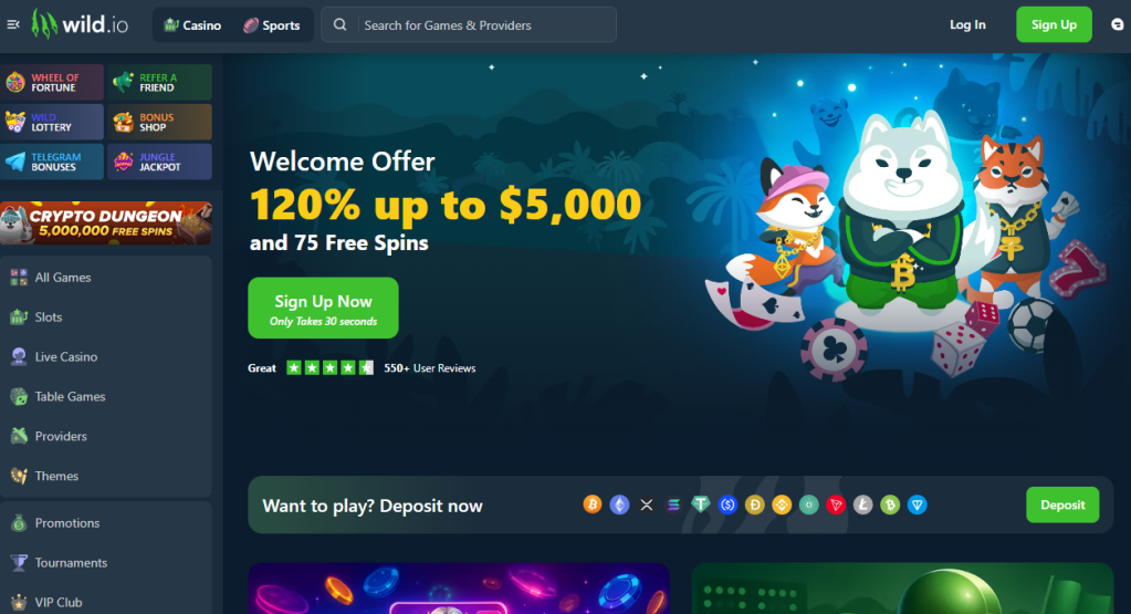 8. Wild.io Casino USA – Crypto Betting for the FIFA World Cup