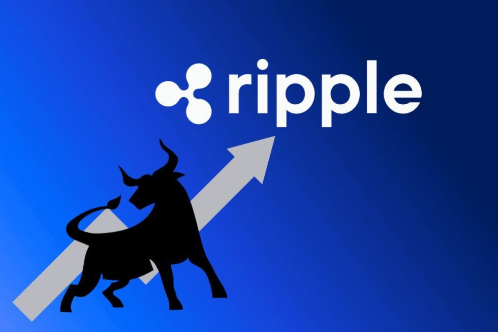 ripple bull market