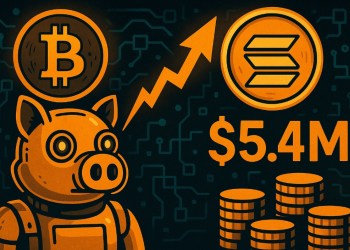 Snorter Bot 代幣最後3天預售價入場　募資額突破540萬美元