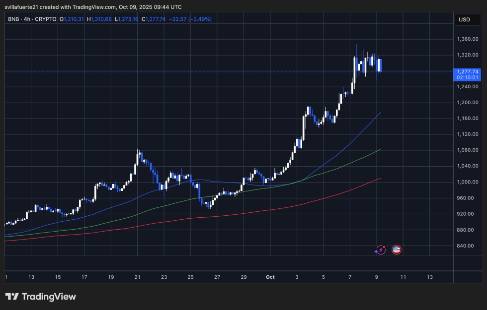 Price testing short-term support | Source: BNBUSDT chart on TradingView
