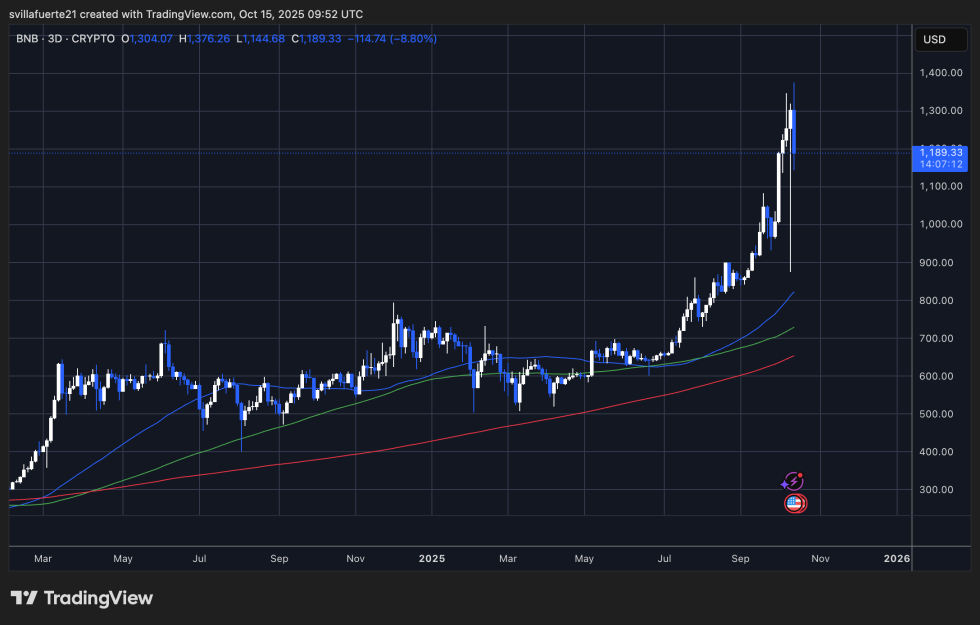 BNB consolidates after volatile price action | Source: BNBUSDT chart on TradingView