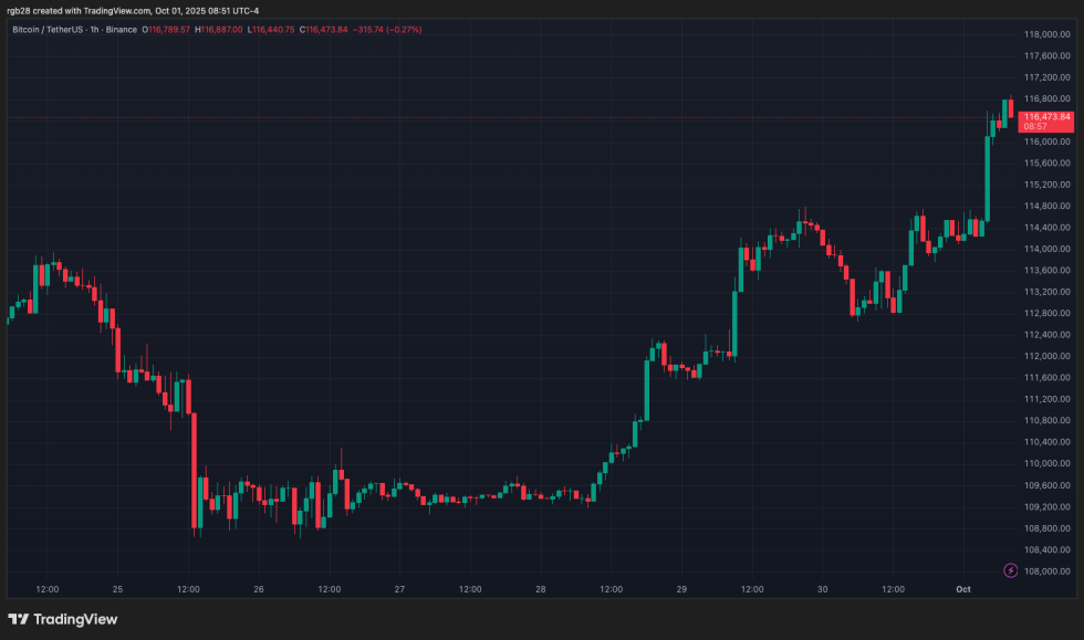 crypto, btc, btcusdt, bitcoin