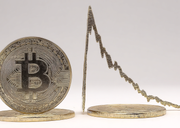 Experte Crypto Rover: Bitcoin wird crashen!