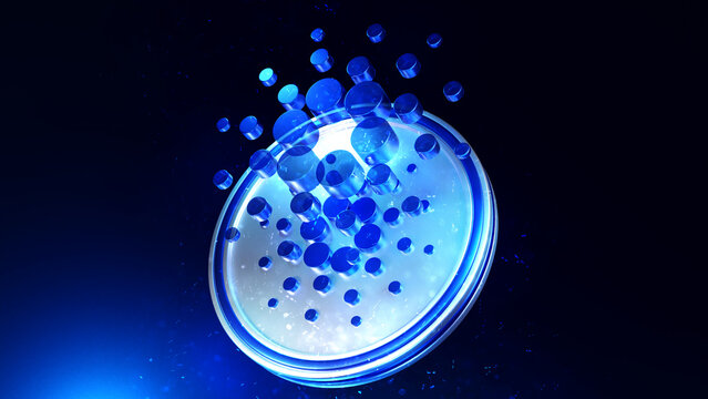 Cardano