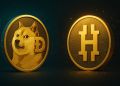 Care criptomonedă te poate face milionar Dogecoin vs. Bitcoin Hyper
