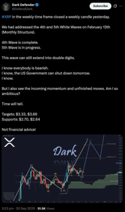다크디펜더의 XRP 가격 분석