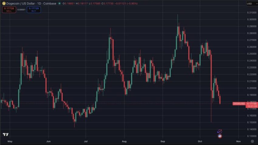 Meme coin markt crasht met $40 miljard verlies.