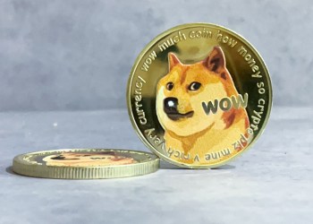 Doge