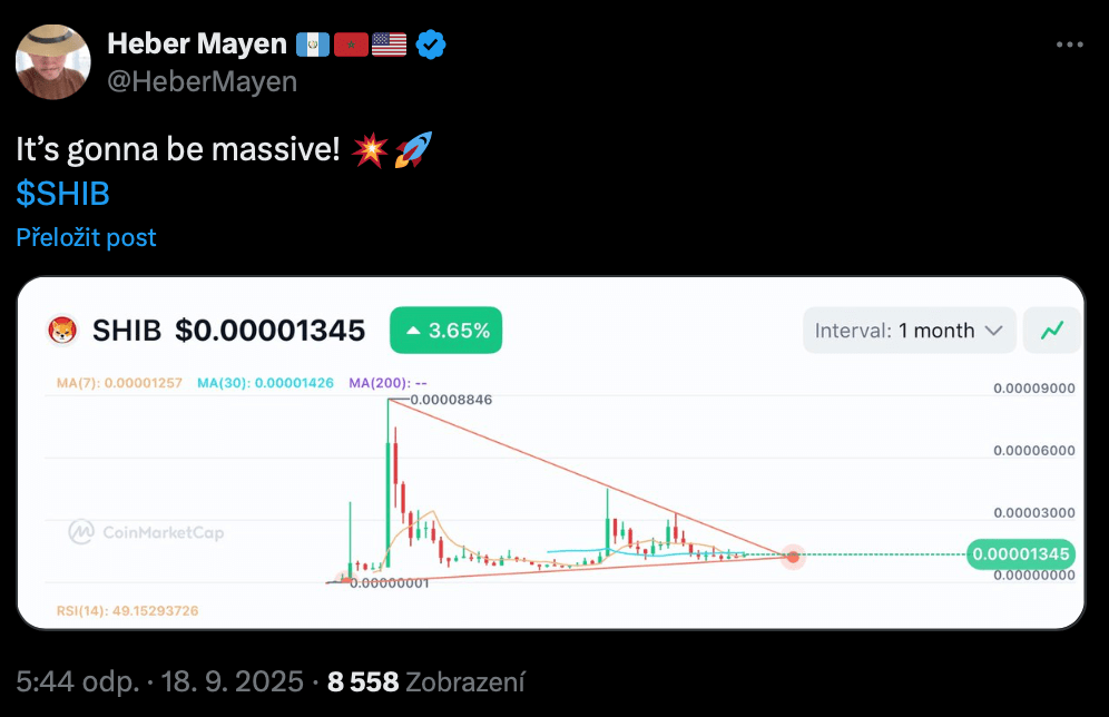 Cenová predikce Shiba Inu.