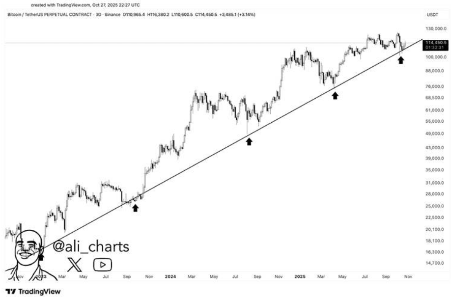 Bitcoin price analyiss by Ali Martinez.
