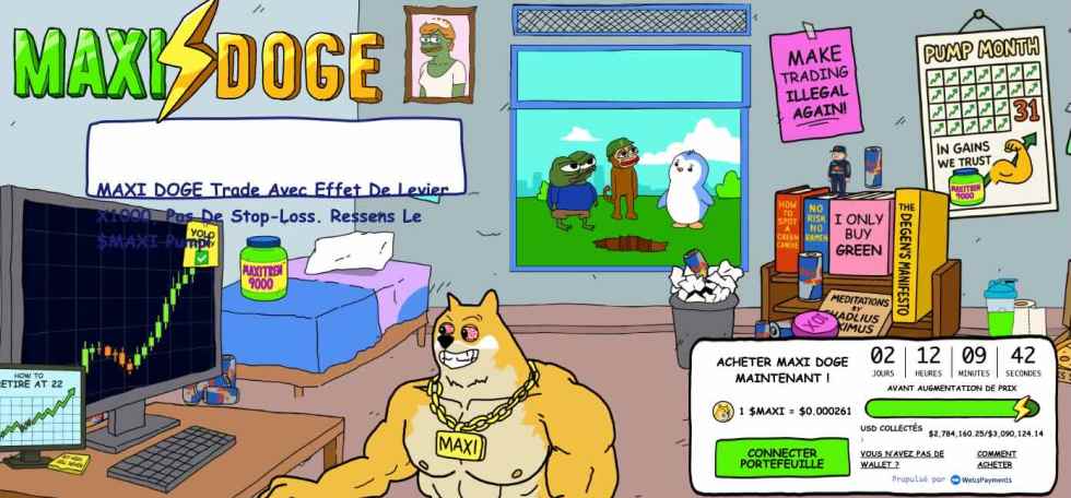 maxi-doge