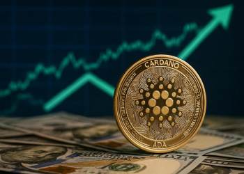 Cardano