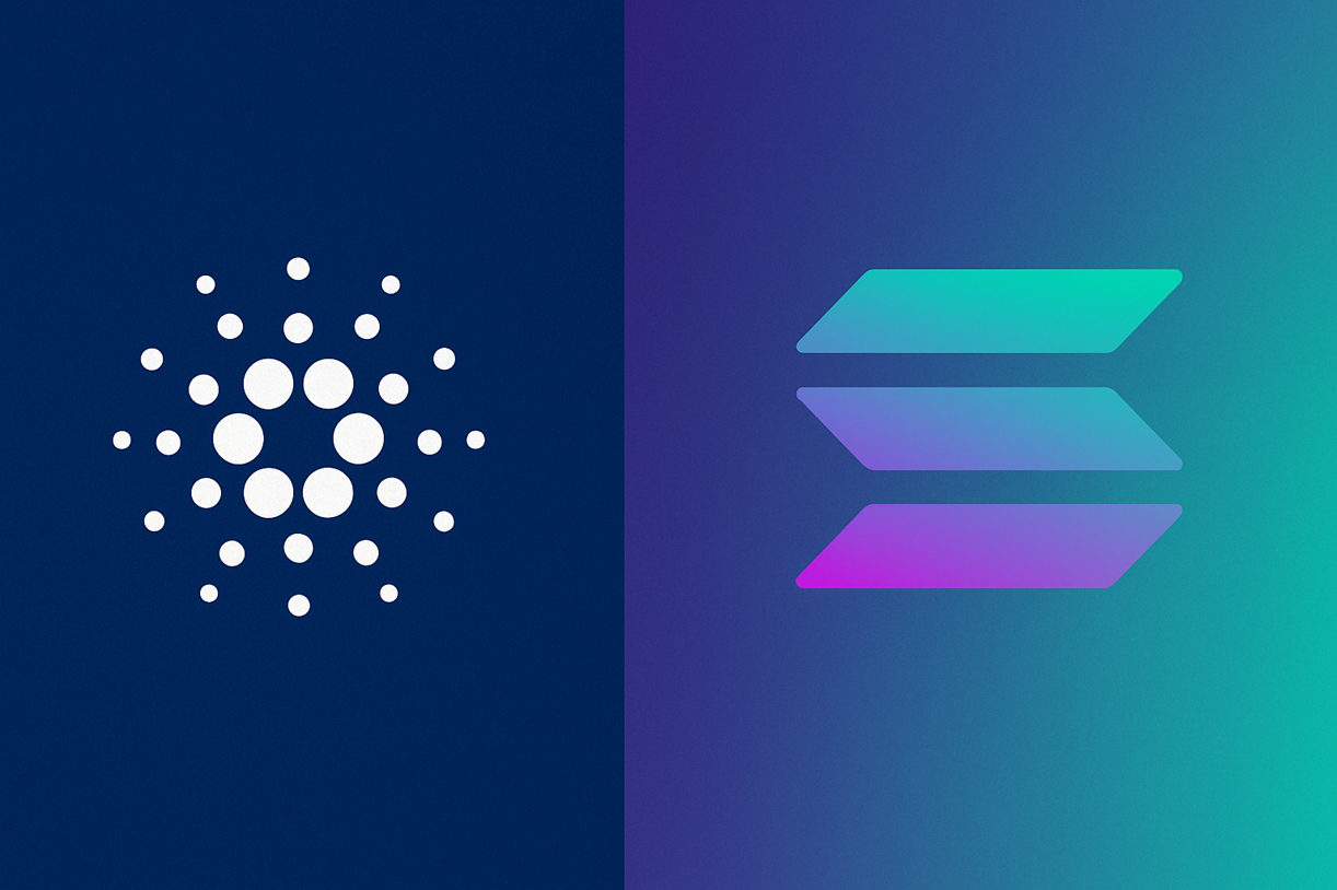 Cardano news Solana Toly