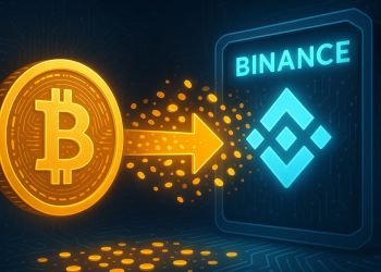 Hot Money Floods Binance: $26B In ‘Young Bitcoin’ Inflows Signal Speculative Surge