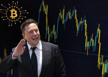 Ο Elon Musk προειδοποιεί για πιθανή χρεοκοπία των ΗΠΑ – Τι σημαίνει αυτό για το Bitcoin