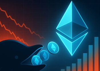 BitMine continua ad accumulare Ethereum nonostante perdite non realizzate
