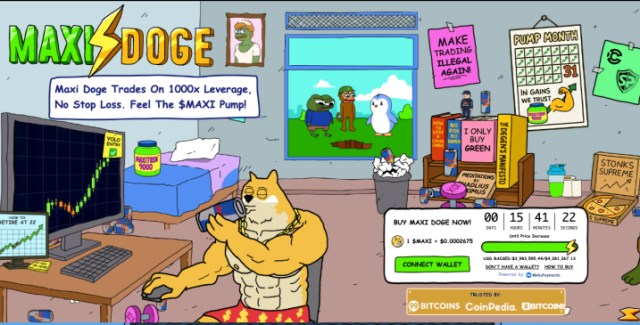 maxi doge