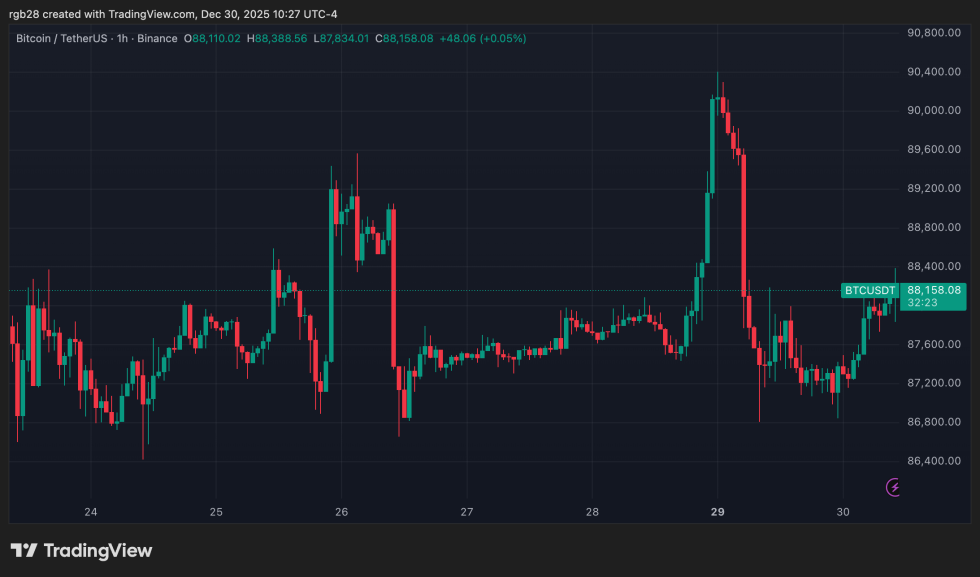 stablecoin, btc, btcusdt, bitcoin