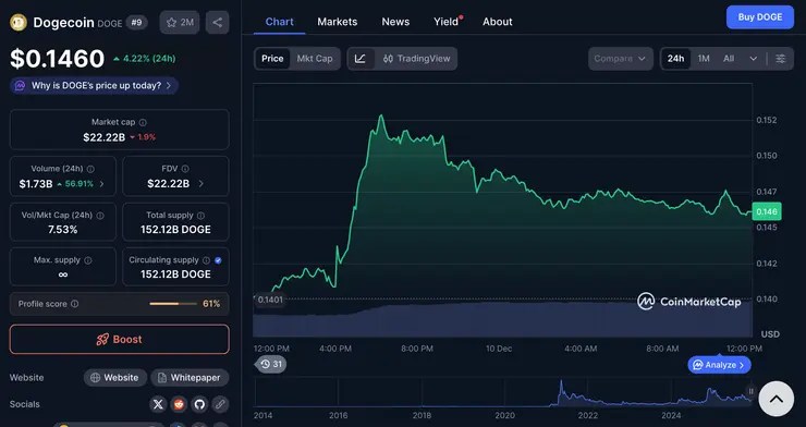 Doge coin cena december 2025