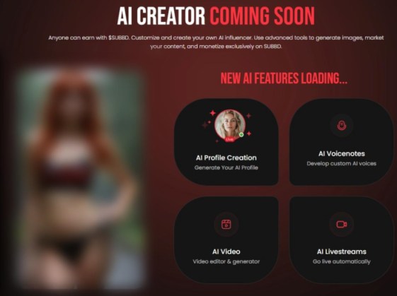 SUBBD platform’s main features.