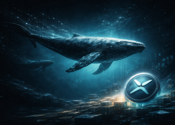 XRP Whale
