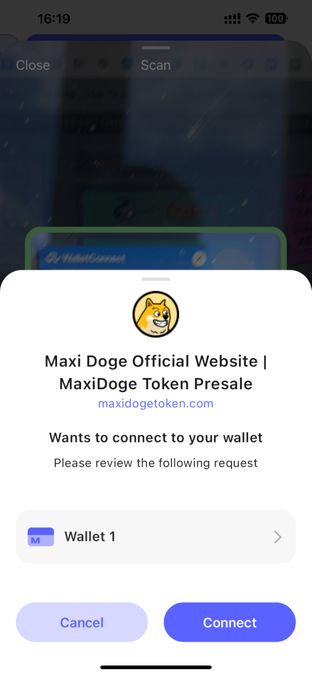 เชื่อมต่อ-maxi-doge