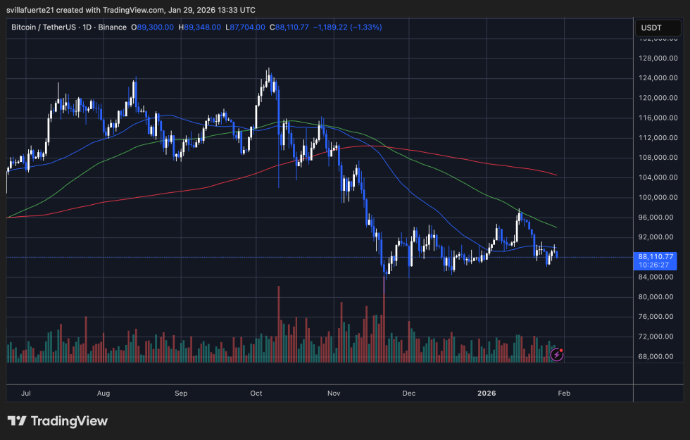 BTC consolidates around key demand | Source: BTCUSDT chart on TradingView
