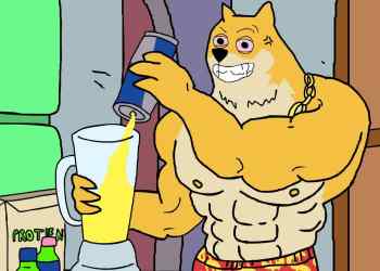 DOGI jumps 1,528% in just 24 hours as the meme coin sector climbs 3% - but one pup could run even higher