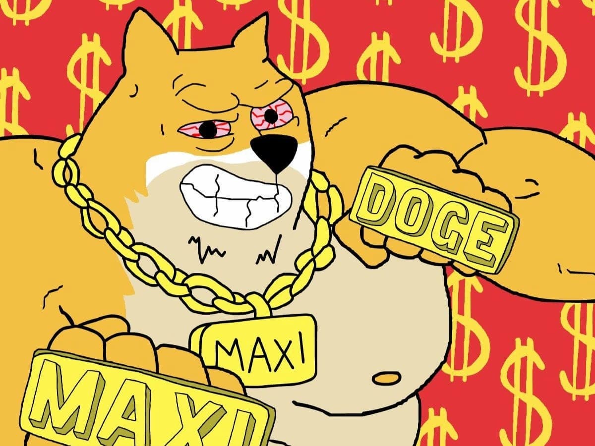 Bitcoin Volatilität Schockiert Analysten – Maxi Doge Im Aufwind