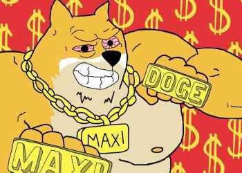 Bitcoin Volatilität Schockiert Analysten – Maxi Doge Im Aufwind